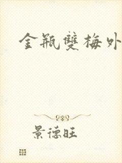 金瓶双梅外传