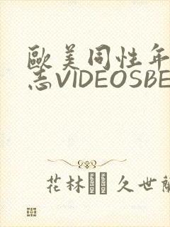 欧美同性年轻同志VIDEOSBEST