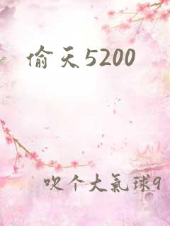 偷天5200