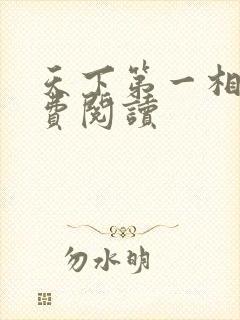 天下第一相书免费阅读