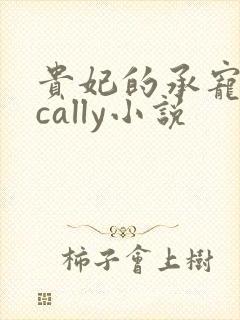 贵妃的承宠日常cally小说