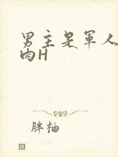男主是军人的肉肉H