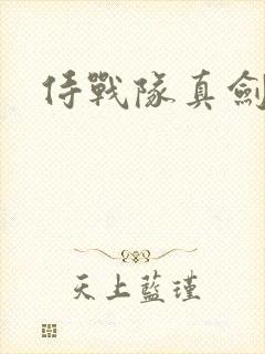 侍战队真剑者2