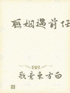 联姻遇前任小说