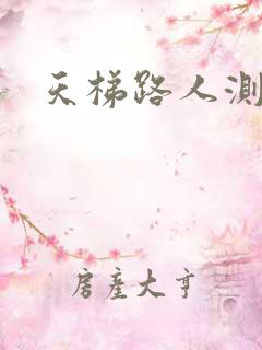 天梯路人测试器