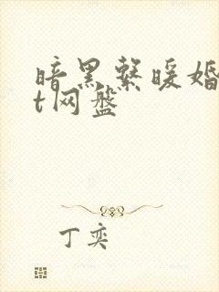 暗黑系暖婚txt网盘