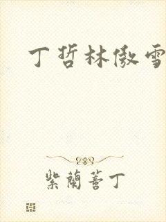 丁哲林傲雪小说