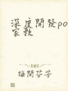 深度开发pop家教