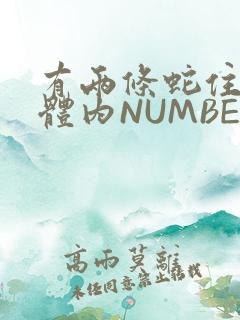 有两条蛇住在我体内NUMBER7
