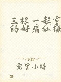 三根一起会坏掉的好痛红梅