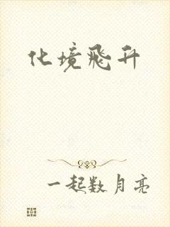 化境飞升