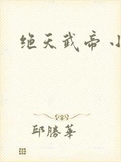 绝天武帝 小说