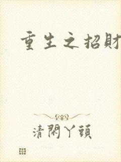 重生之招财进宝