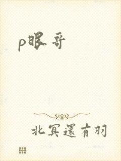 p眼哥