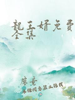 龙王婿免费完结全集