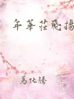 年华庄飞扬