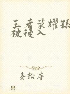 王者荣耀孙尚香被后入