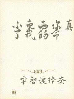 小东西你真能要了我的命