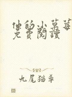 他的小草莓全文免费阅读