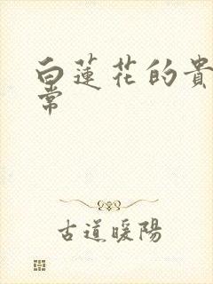 白莲花的贵妇日常