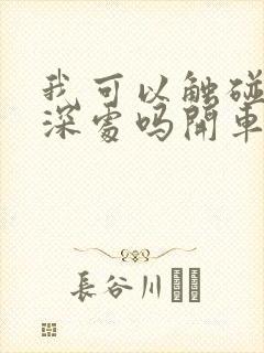 我可以触碰你的深处吗开车作文