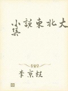 小说东北大炕全集