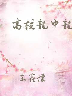 高校龙中龙
