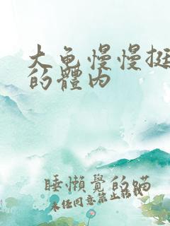 大龟慢慢挺进我的体内