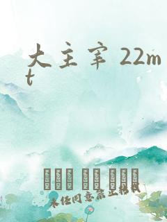 大主宰 22mt