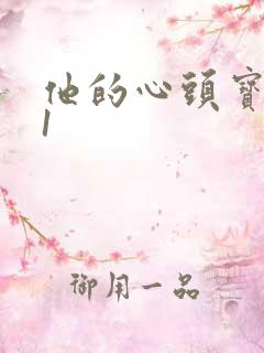 他的心头宝1v1