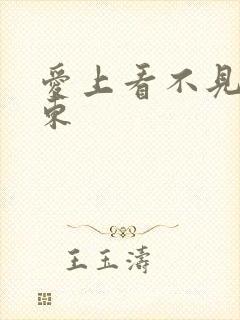 爱上看不见的房东