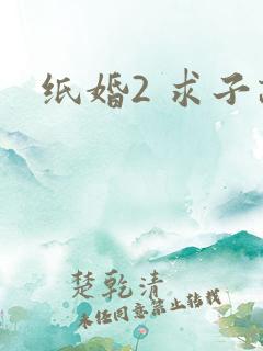 纸婚2 求子记