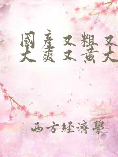 国产又粗又猛又大爽又黄大爷