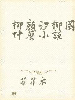 柳颜汐柳国安是什么小说