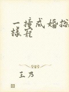 一撞成婚总裁花样宠