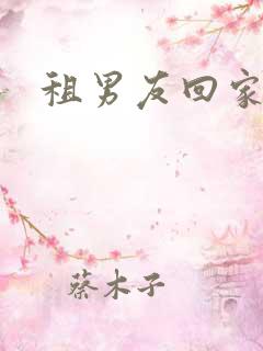 租男友回家过年