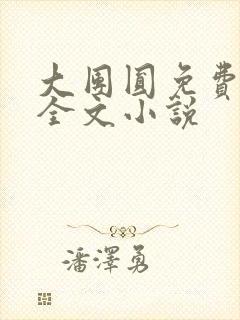 大团圆免费阅读全文小说