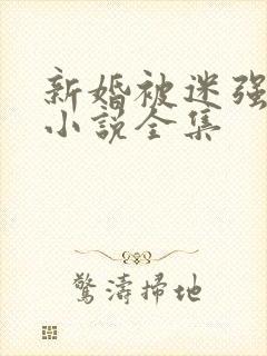 新婚被迷强系列小说全集