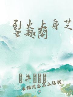 引火上身芝麻糖笔趣阁