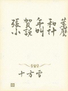 张贺年和叶繁姿小说叫什么名字