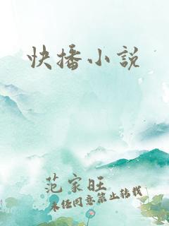 快播小说