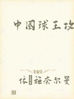 中国球王攻略