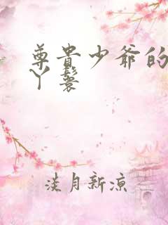 尊贵少爷的大牌丫鬟