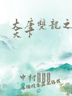 大唐双龙之无敌天下