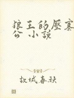 狼王的压寨小相公 小说