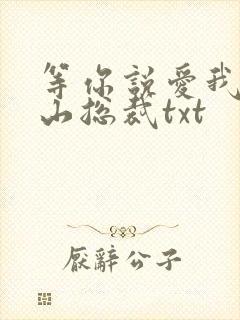 等你说爱我之冰山总裁txt