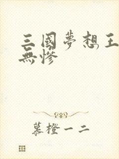 三国梦想王元姬无惨