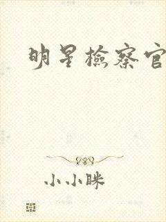 明星检察官小说