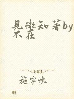 见微知著by音不在