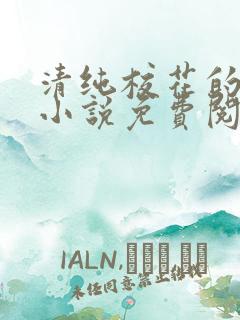 清纯校花的秘密小说免费阅读全文